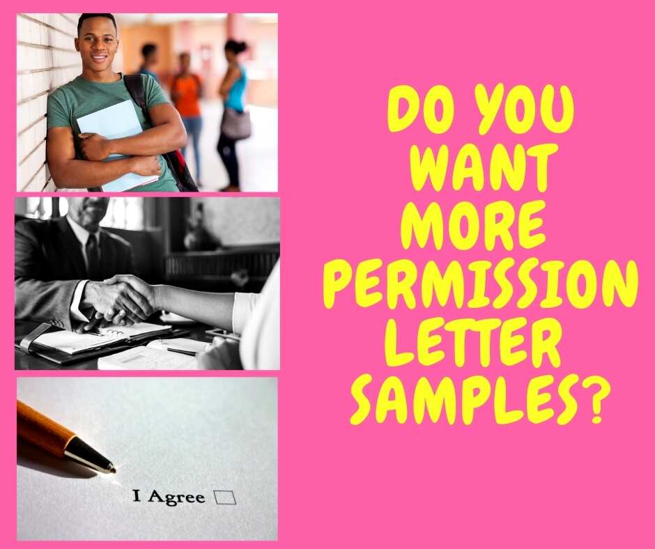 How to write a letter of permission (with examples)