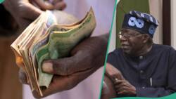 Hardship: Tinubu's govt giving out N30k relief cash to all Nigerians? Fact surfaces