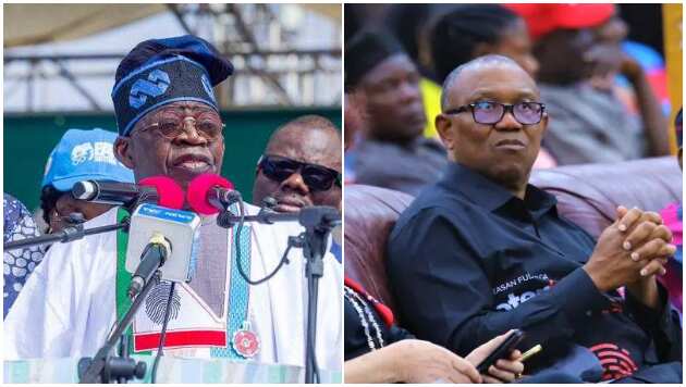 Bola Tinubu/Peter Obi/Jigawa/APC/Labour Party/2023 election