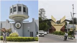 World University Ranking 2023: List of top 10 varsities in Nigeria emerges