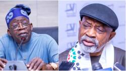 What Tinubu should do for ‘hardcore civil servants’ immediately after swearing in, Ngige reveals