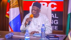 Breaking: APC chairman Abdullahi Adamu reacts to reports of alleged resignation, reveals next step