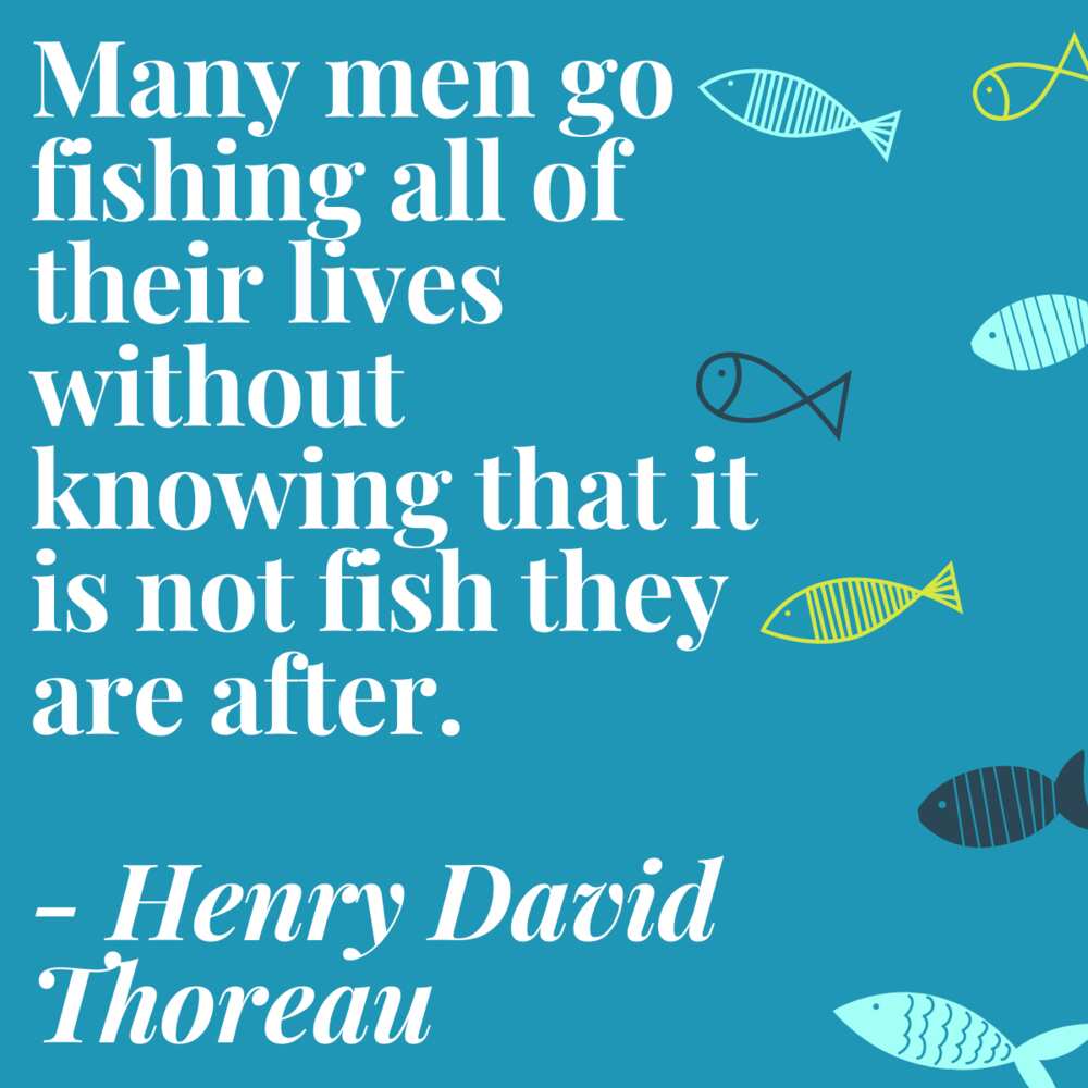 Philosophy Teach A Man To Fish Quote / The Problem With The Proverb