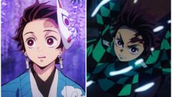 How old is Tanjiro from Demon Slayer? His age across the series