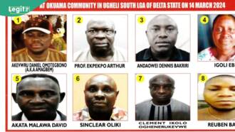 DHQ declares 8 suspected killers of 17 soldiers in Delta wanted, gives details