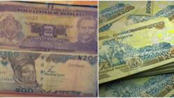 Naira to the world: Reactions as Nigerian man says he saw N200 note in Oyinbo store abroad, shares funny video