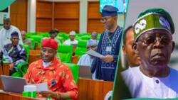 Reps move to change presidential system to parliamentary in Nigeria