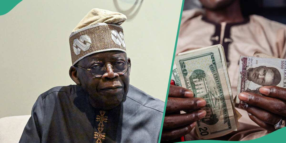 Naira to dollar: Presidency releases fresh prediction on exchange rate