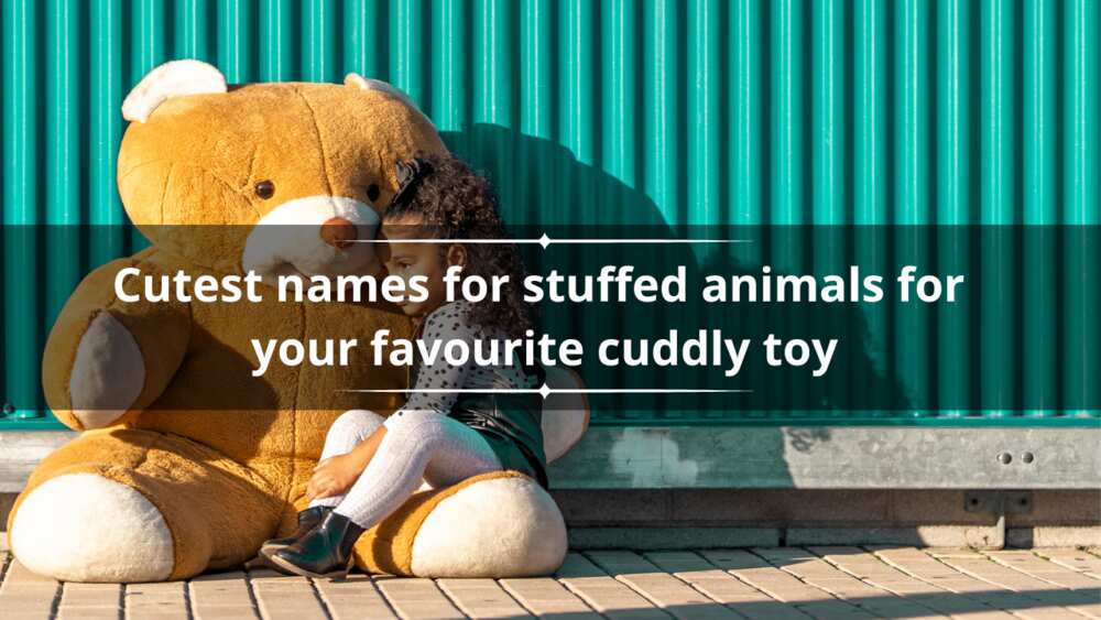 Names for stuffed animals