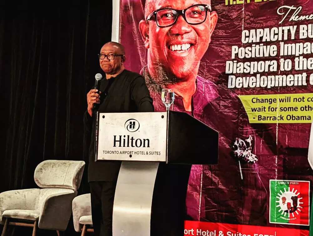 Peter Obi/2023 elections/Nigerians in the diaspora