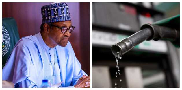 Bad news for Nigerians as FG reportedly makes U-turn, increases price of petrol