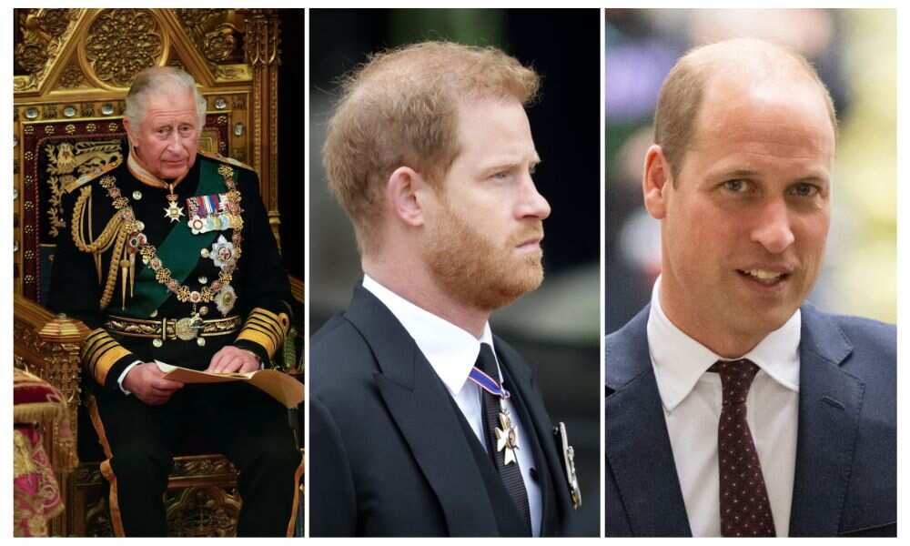 Royal Family, King Charles