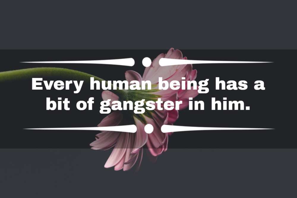 Short gangster quotes Short gangster quotes