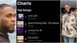 Burna Boy reacts as his song Last Last pushes Davido’s ‘Stand Strong’ To 2nd spot On Apple Music