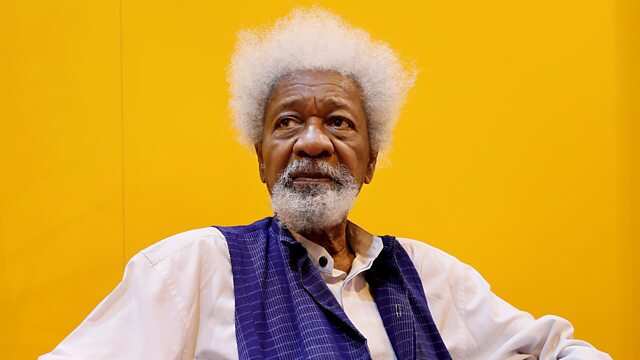 Tattaunawa kan Buhari zai iya taba min kwakwalwa, in ji Soyinka