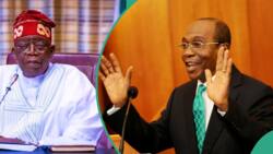 “They are not allowed”: Tinubu’s govt to seize 2 Nigerian banks sold under Emefiele, gives reasons