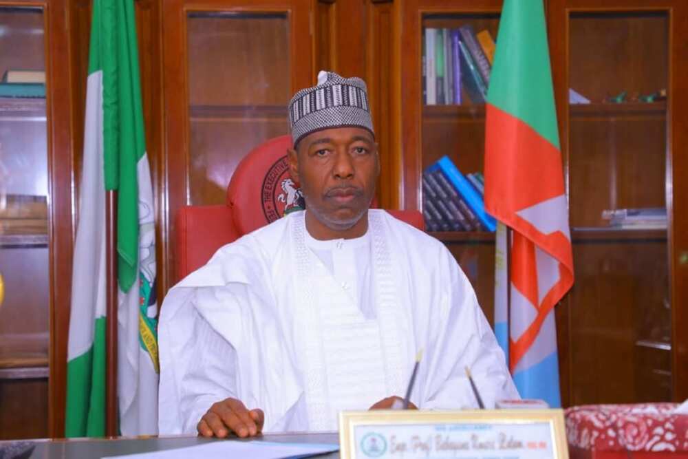 Governor Zulum