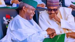 Buhari, Osinbajo, governors, others to get N64.72 billion severance packages