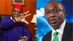 Naira scarcity: “You’re a pawn, poddle, pimp,” Fani-Kayode slams Emefiele in fresh Twitter rant