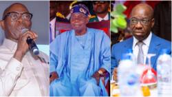 “Tinubu shocked Edo no be Lagos campaigners”: Oshiomhole hails president, taunts Obaseki
