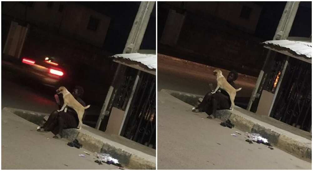 A Nigerian woman who has mental challenges playing with her dog in the streets at night.