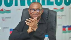 Peter Obi in trouble as firm writes CCB, demands prosecution of LP flagbearer over secret assets in tax haven