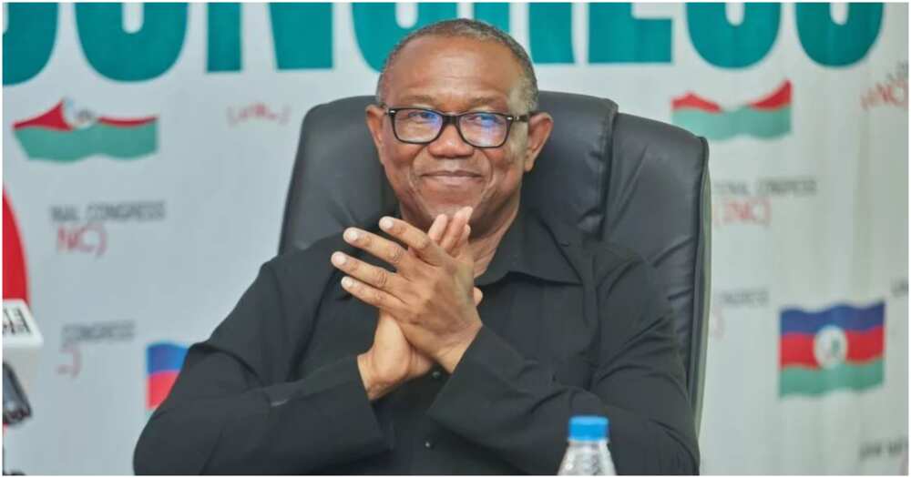 Peter Obi, Pandora papers, 2023 elections, Labour Party, Anambra state governor