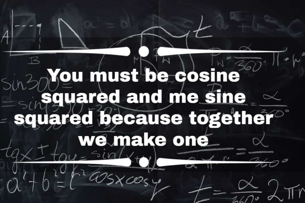 Calculus pick-up lines