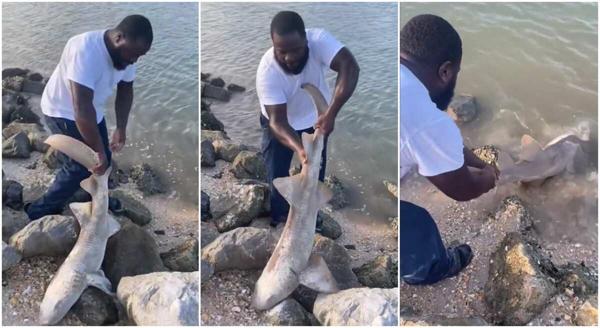You Don't Have Pot? Man Catches Big Fish Outside Water, Releases