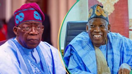 “He should sacrifice himself”: APC chief reacts as presidency allegedly declares Ganduje’s seat vacant