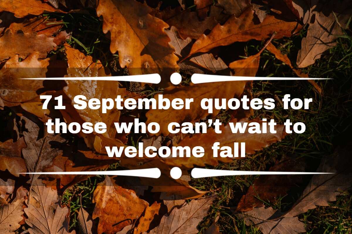 71 September quotes for those who can’t wait to fall Legit.ng