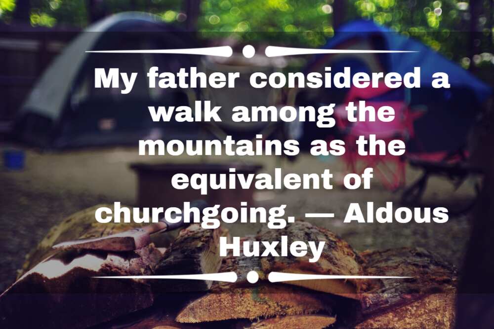 Camping sayings Camping sayings