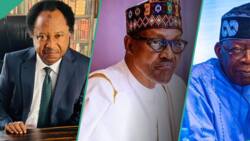 “They lost their voice under Buhari”: Shehu Sani reacts as northern monarchs blame Tinubu over hardship
