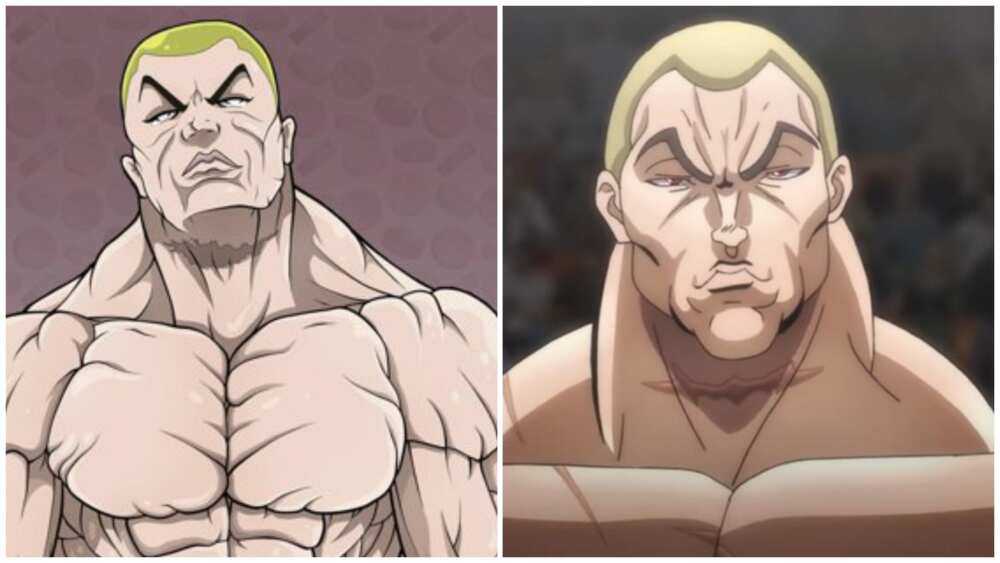 The 25+ Best Baki The Grappler Characters, Ranked by Fans