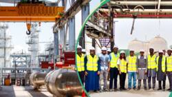 Like Dangote, another Nigerian billionaire’s company announces completion of gas plant