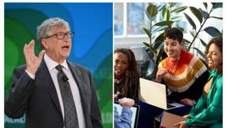 Bill Gates Foundation funds 30 African startups in healthcare supply chains