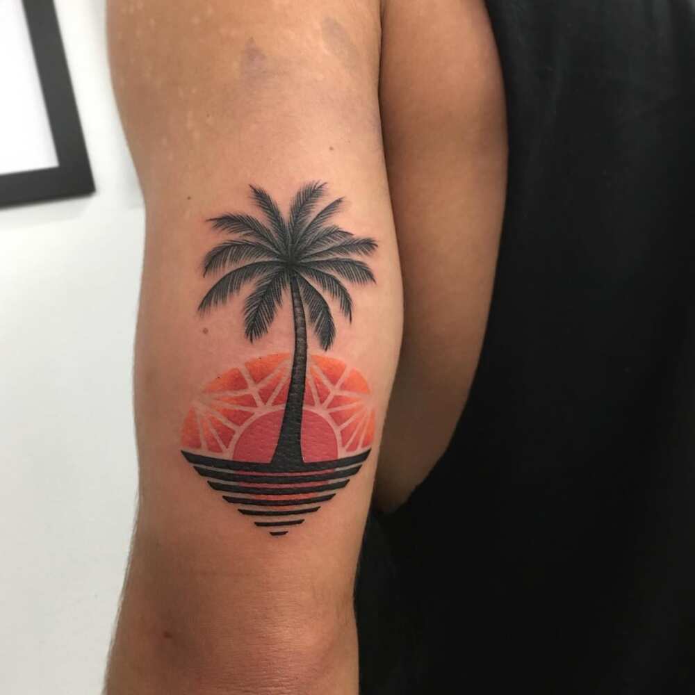 50 palm tree tattoo design ideas for men and women - Legit.ng