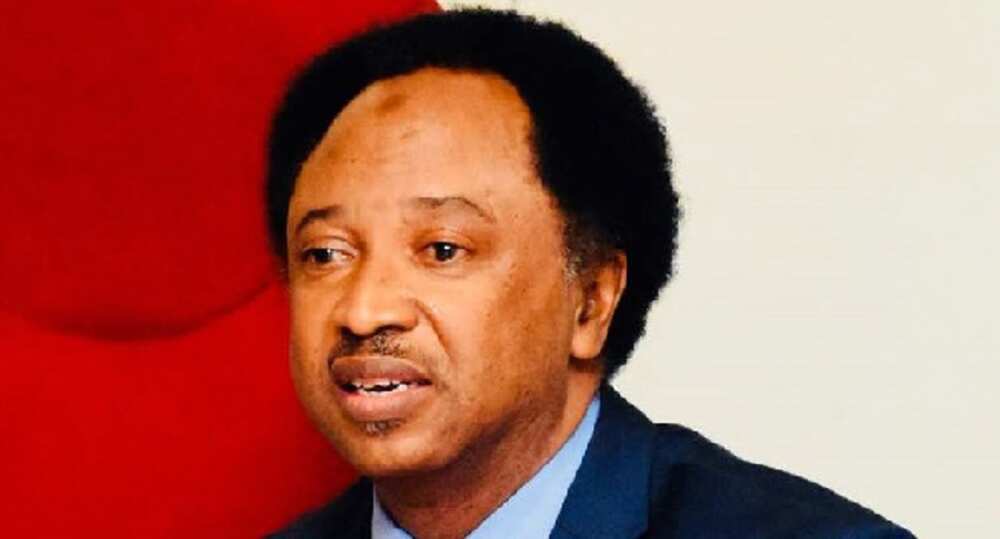 Shehu Sani ya shawarci Atiku