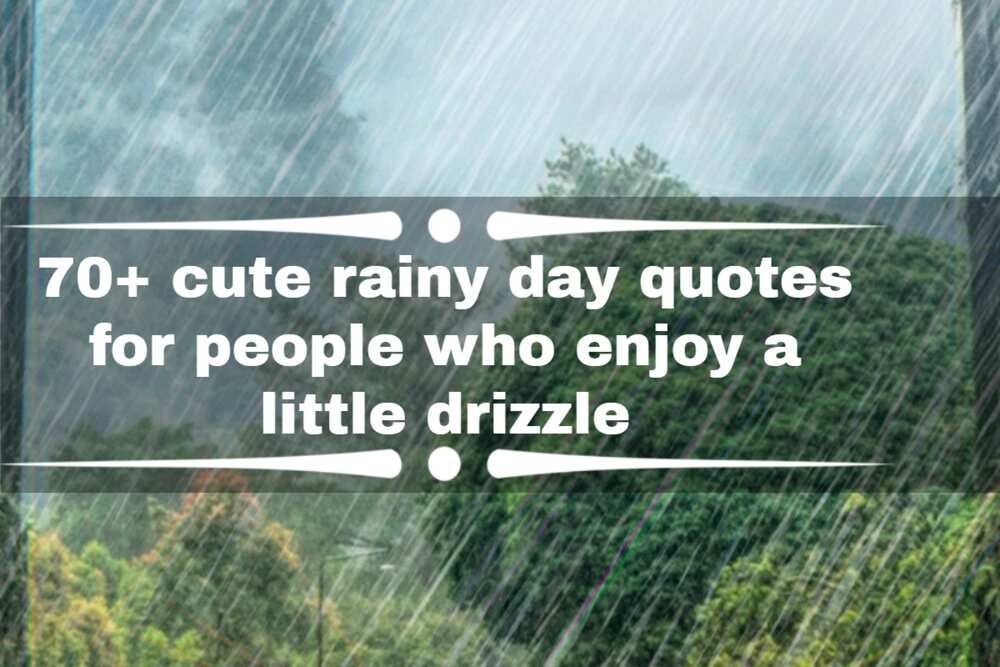 70+ cute rainy day quotes for people who enjoy a little drizzle