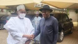 Rade-radin takara a APC na kara karfi, Goodluck Jonathan ya yi kus-kus da Mamman Daura