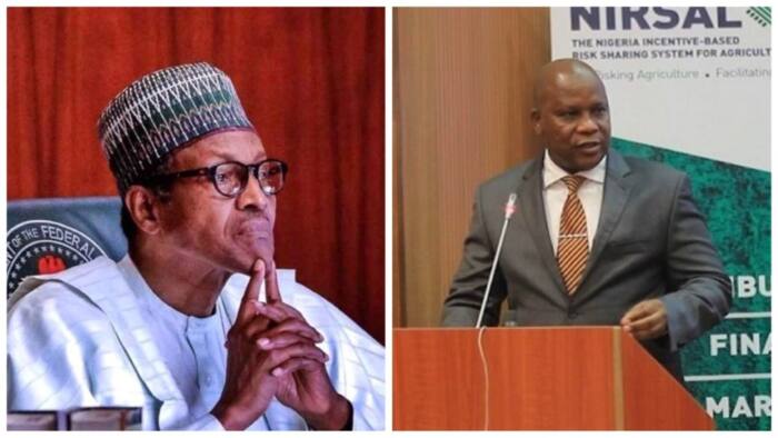 Tension in top FG's agency as Buhari fires MD over N5.6 billion wheat project saga