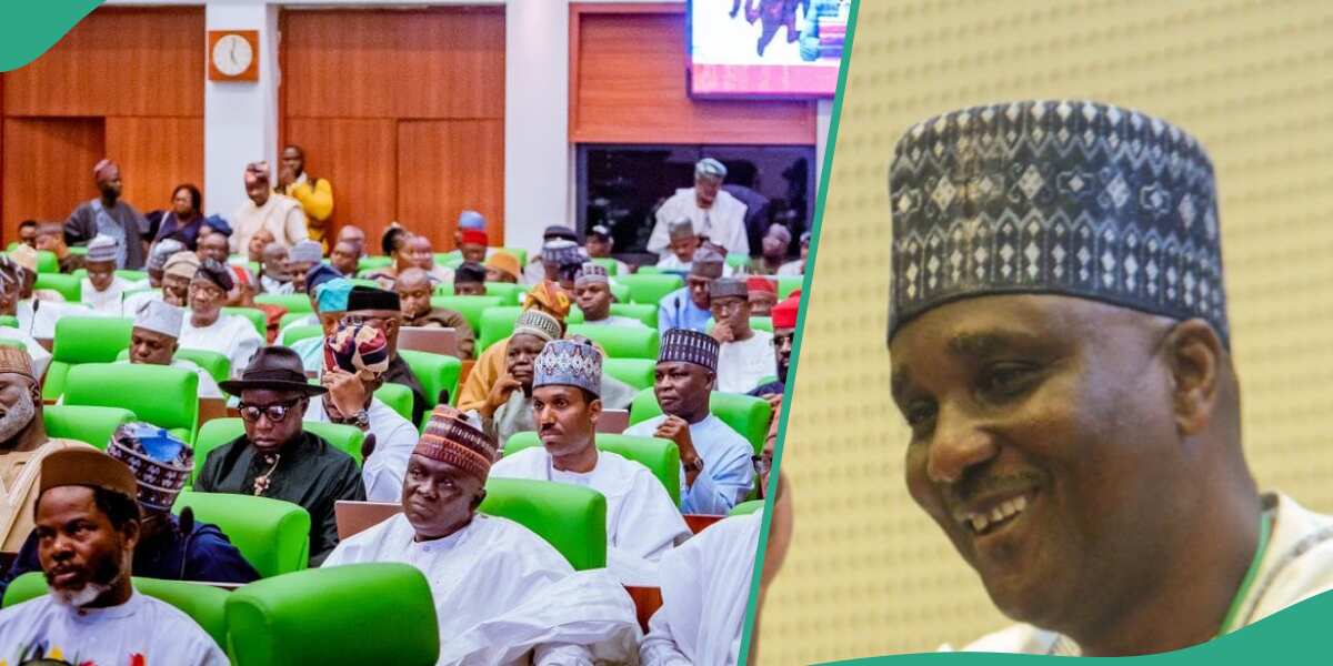 Speaker Unveils Reps Committees, Names Abdullahi, Agbodike, Others As ...