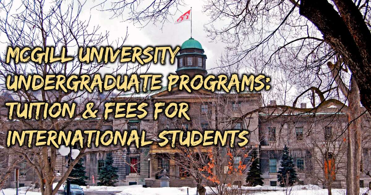 McGill University undergraduate tuition fees for international students -  Legit.ng