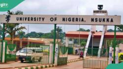 "Unacceptable": UNN suspends lecturer for sexually harassing student