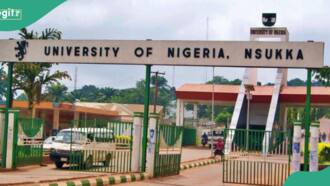 "Unacceptable": UNN suspends lecturer for sexually harassing student