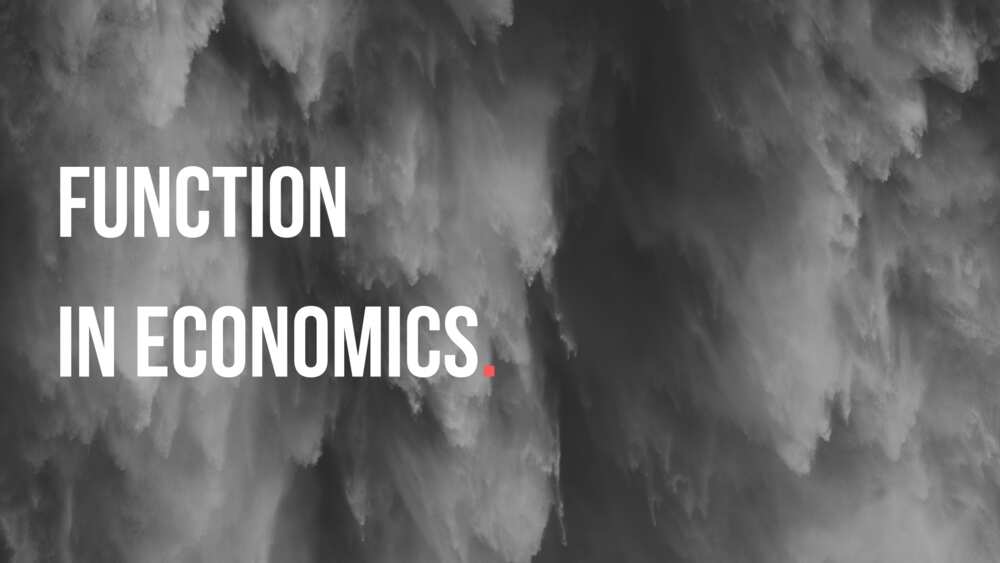 Functions in economics Functions in economics