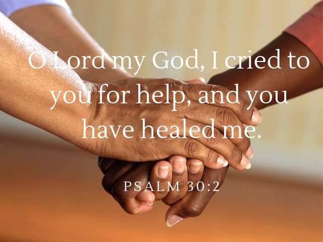 Bible verses about healing sickness