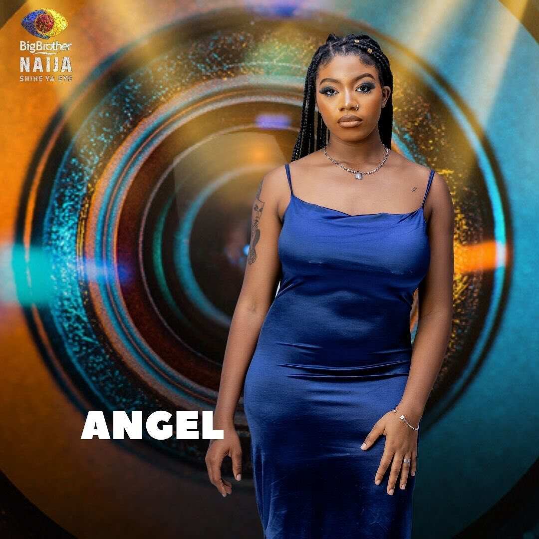 BBNaija housemates 2021 who are the season 6 contestants Legit.ng