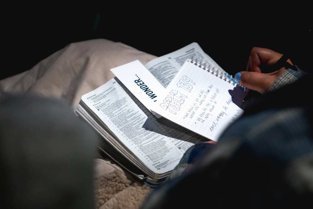 Report writing Report writing