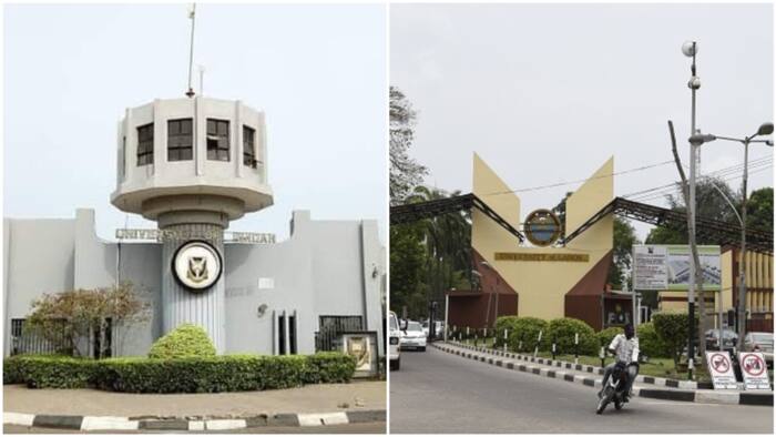 Top 10 Universities in Nigeria to Study Medicine and Dentistry According to World Rankings
